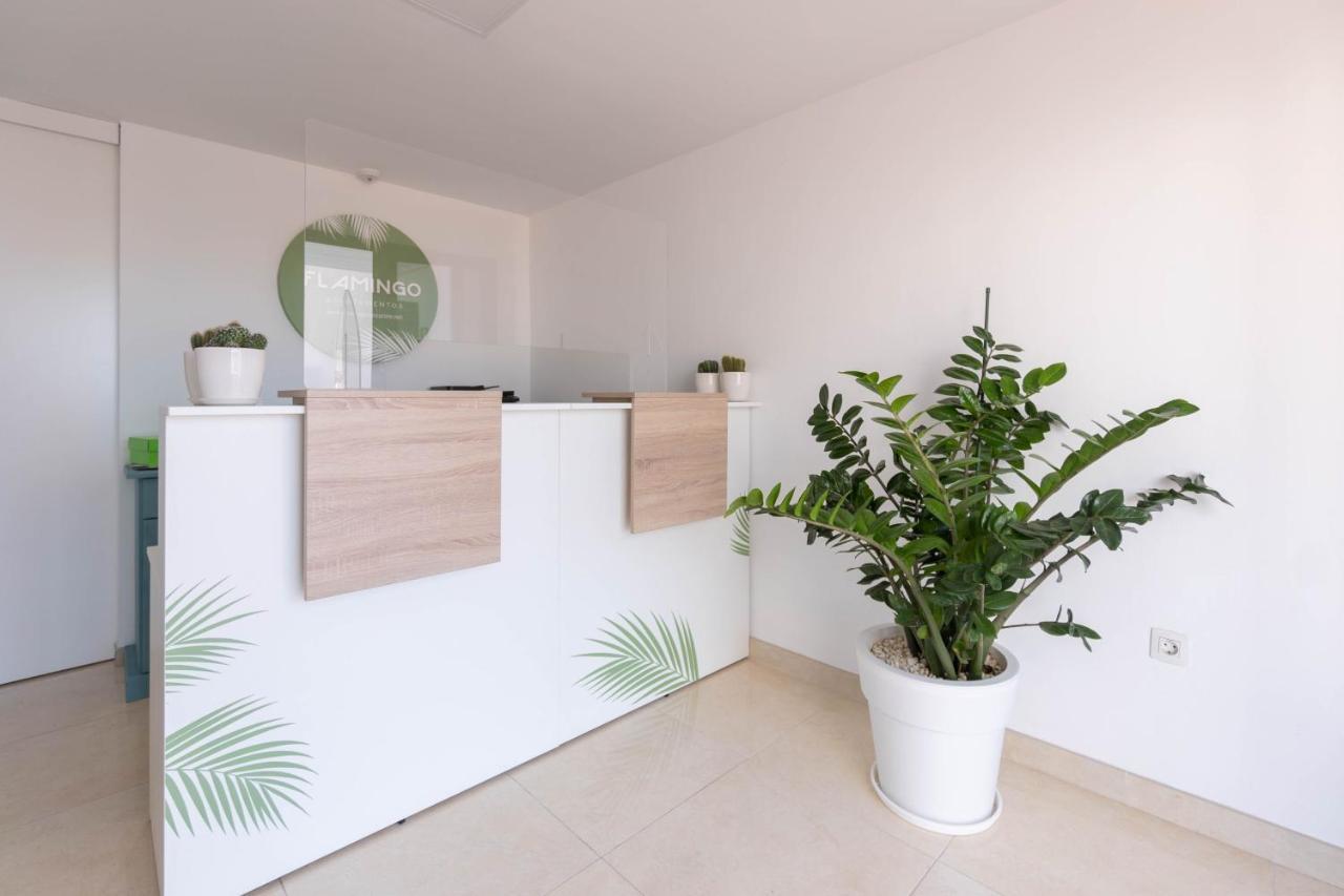 Apartamentos Flamingo Puerto del Carmen  Esterno foto